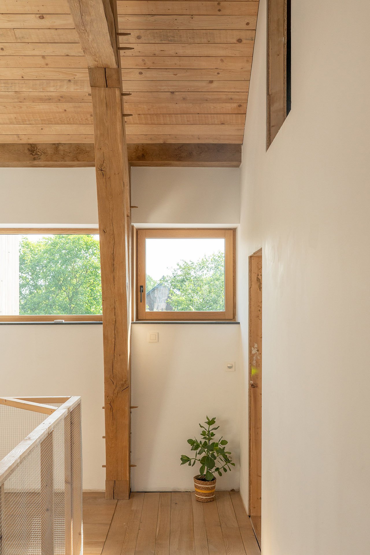 IM_fenêtre_bois-alu